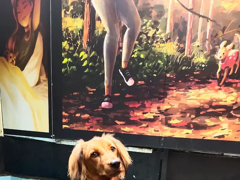 Good Dog Co., photo 2