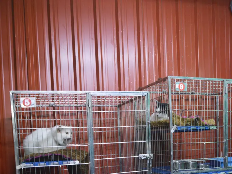 Maxwell International Pet Care, photo 4