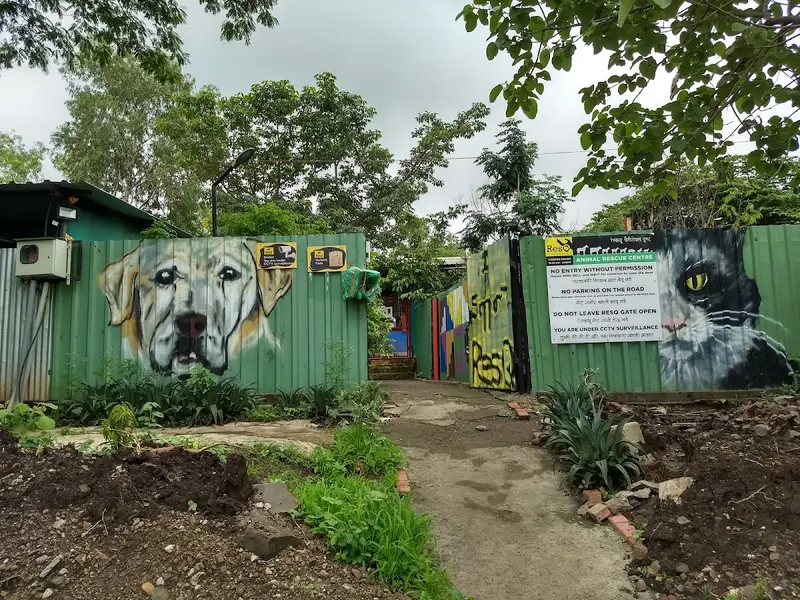 RESQ Charitable Trust, photo 2