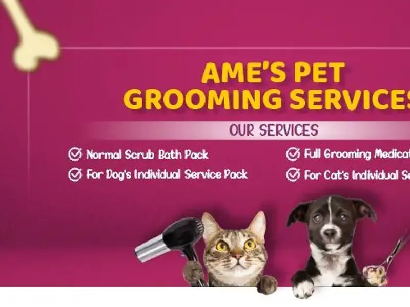 Ame's Pet Grooming Services | doorstep pet grooming | Dog And Cat Grooming, photo 4