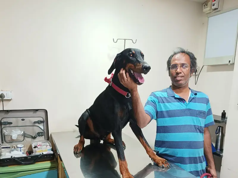 Dr Katre's Pet Clinic Bibvewadi, photo 4