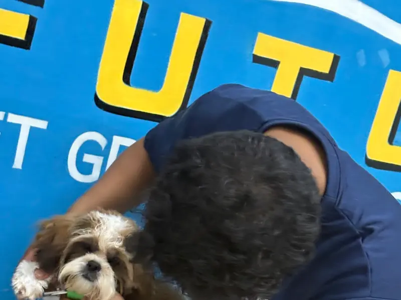 PAW FUTURE PET SERVICES (PET GROOMER), photo 5
