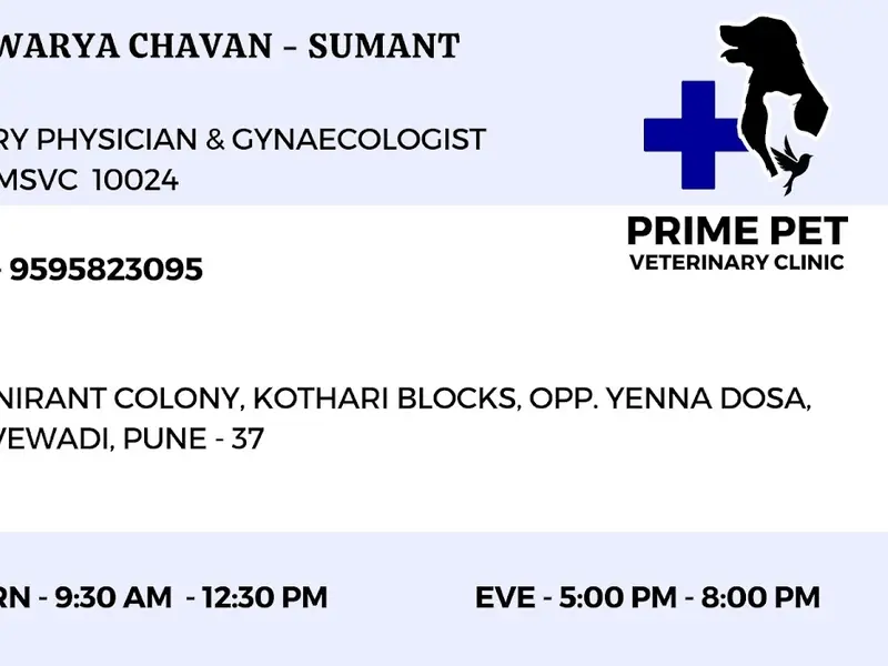 PRIME PET VETERINARY CLINIC - Dr. Aishwarya Chavan, photo 5