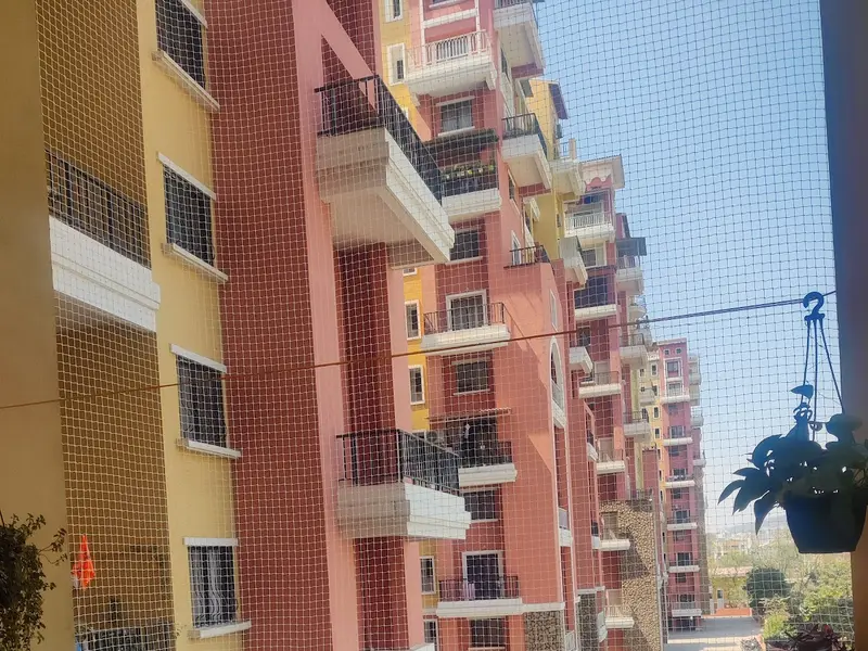 Small Tails pet hostel, photo 2