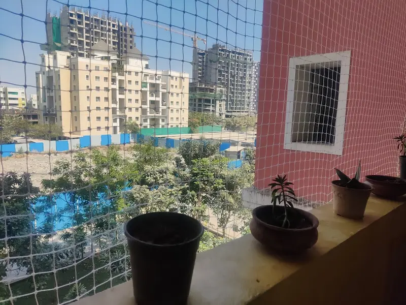 Small Tails pet hostel, photo 4