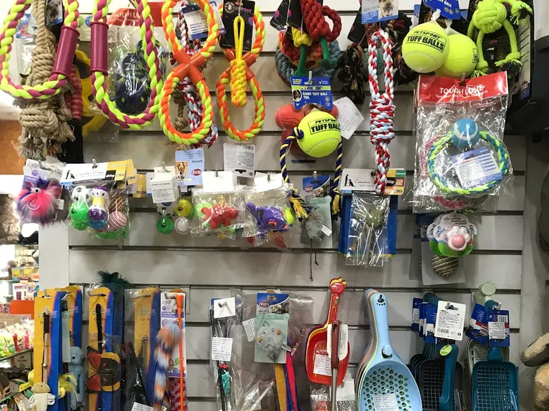 Magic Pets, photo 3