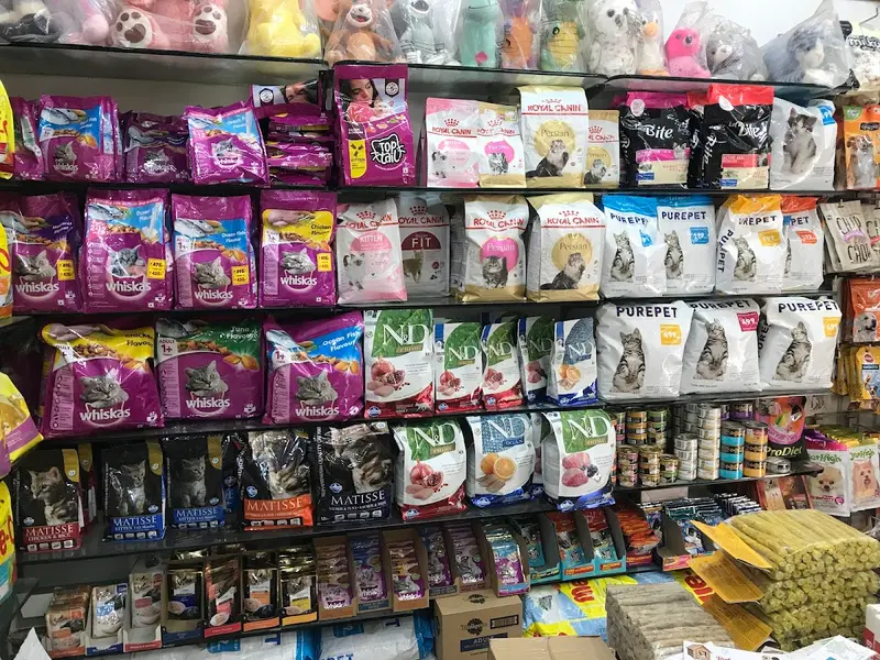 Magic Pets, photo 4