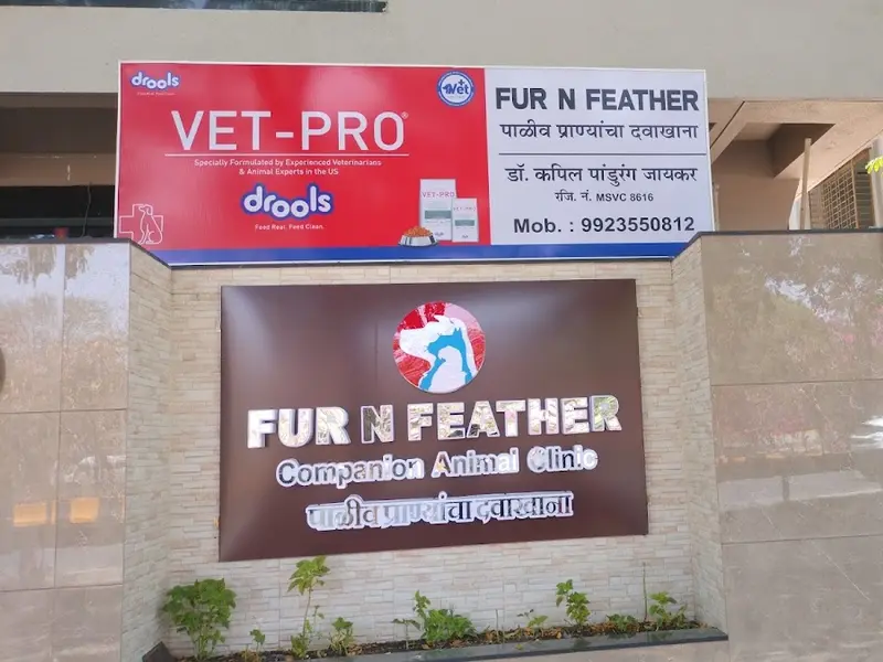 Fur N Feather, photo 5