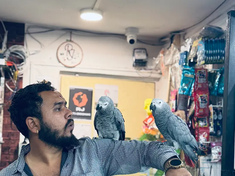 Rj pets, photo 5