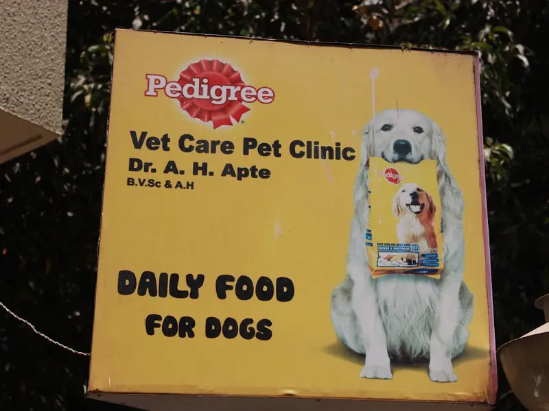 Vet Care Pet Clinic, photo 5