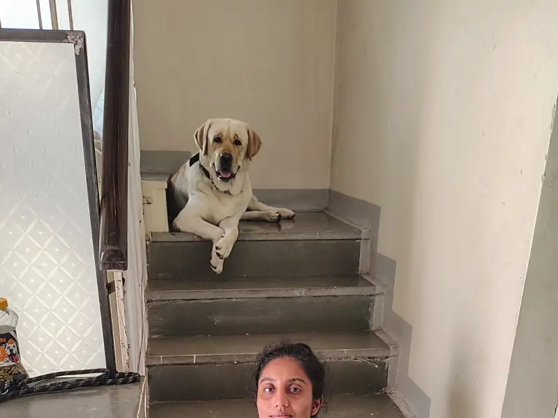 Co-Exist Dog Boarding N Training, photo 5