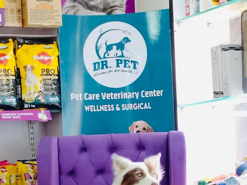 Dr. Pet, photo 2