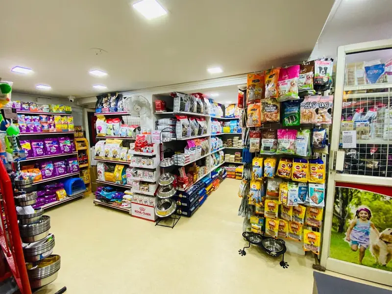 Delight pet shop karve road, photo 2