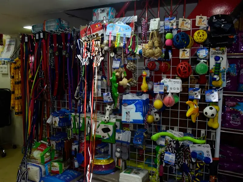 Delight pet shop karve road, photo 5