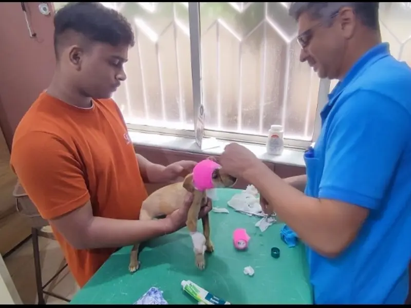 Dr Deepak Tulpule, photo 2