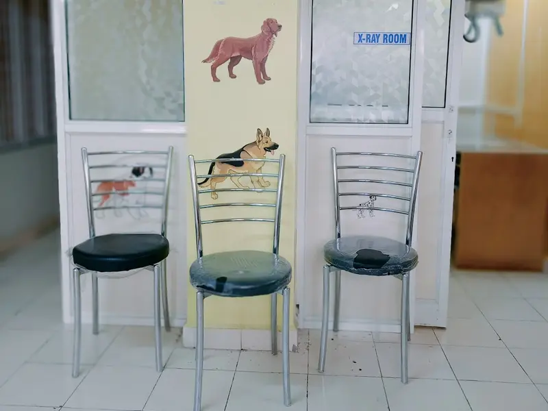 Metrovet Diagnostic Center, photo 3