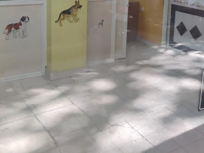 Metrovet Diagnostic Center, photo 5