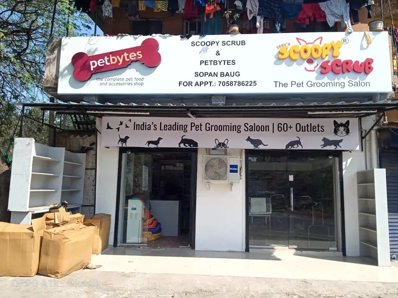 Scoopy Scrub & Pet Bytes - Sopan Baug, photo 2