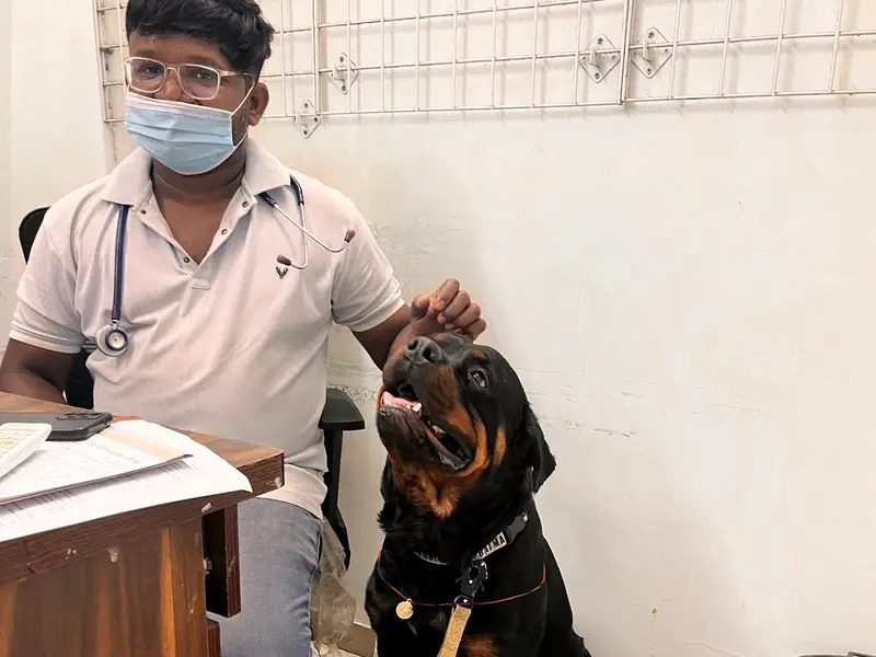AmVet | Pet Clinic | Doctor | Hadapsar, photo 3