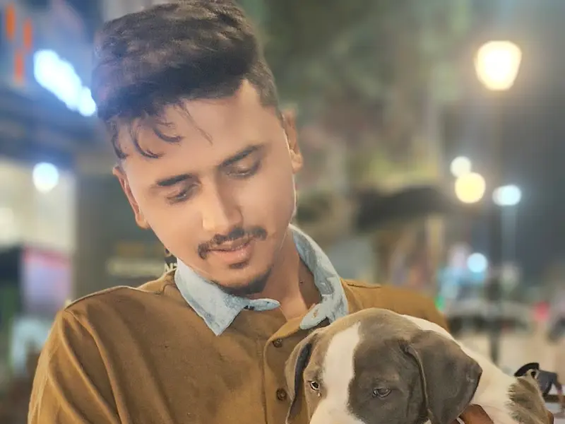 Bk's Pitbulls and American Bully Pune, photo 5