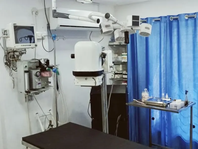 DR. PALLAB SAIKIA | MAGARPATTA | UNDRI-NIBM, photo 3
