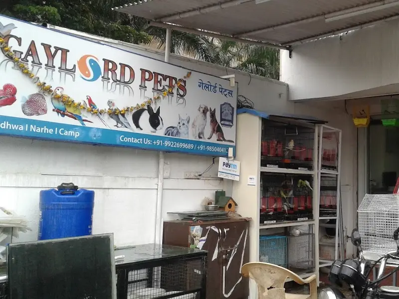 Gaylord Pet's Shop, photo 5