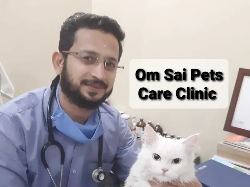 Om Sai Pets Care Clinic, photo 3