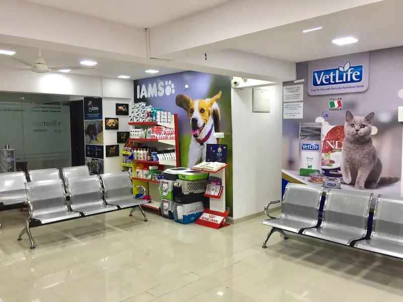 PET'S HEAVEN | DOG & CAT CLINIC | MAGARPATTA - HADAPSAR, photo 2