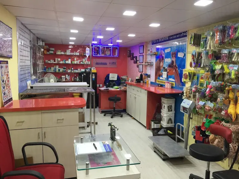 PET'S HEAVEN | DOG & CAT CLINIC | MAGARPATTA - HADAPSAR, photo 3