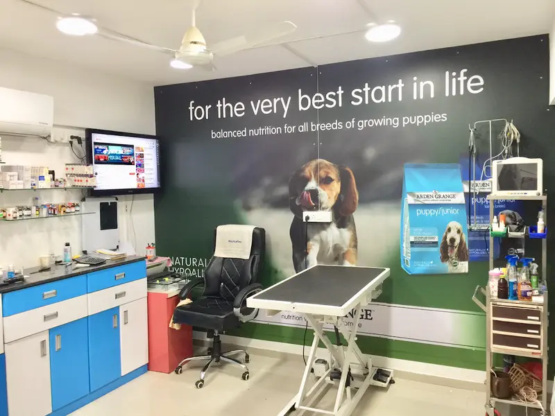 PET'S HEAVEN | DOG & CAT CLINIC | MAGARPATTA - HADAPSAR, photo 5