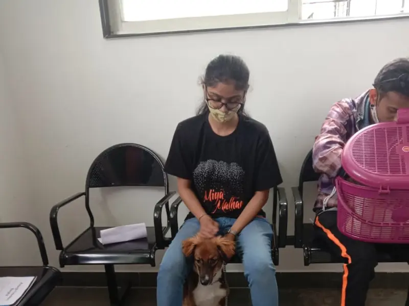 Petaegis Veterinary Hospital, photo 5