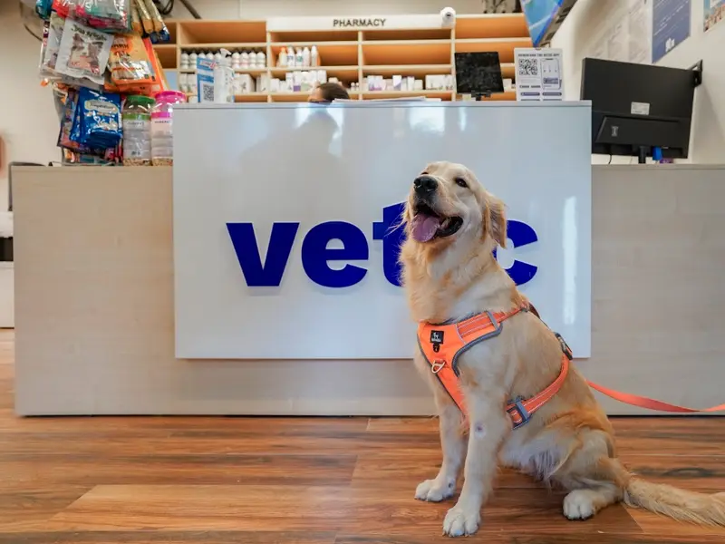 Vetic Pet Clinic Kalyani Nagar, photo 5