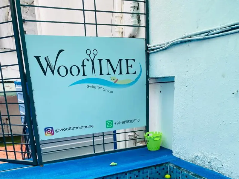 Wooftime, photo 3