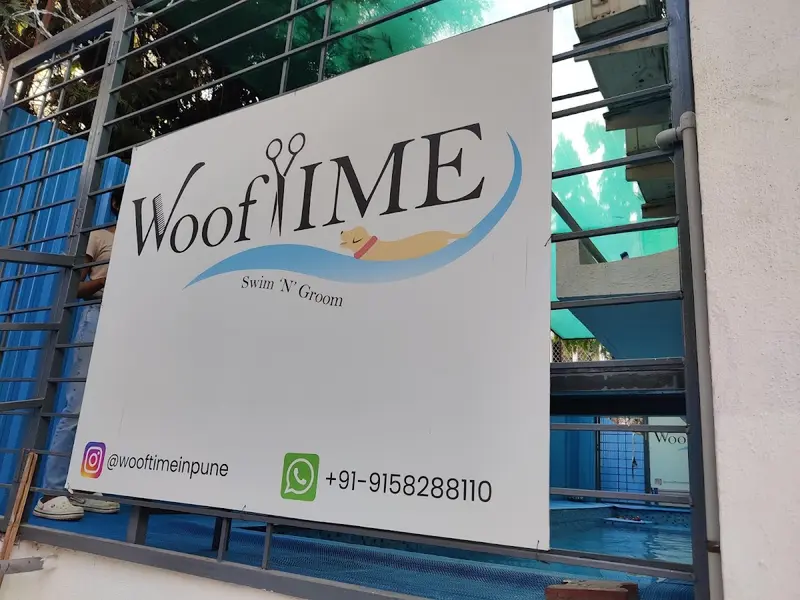 Wooftime, photo 4