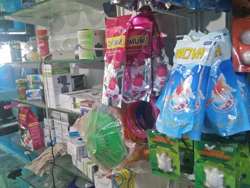 Platinum Pet shop, photo 3