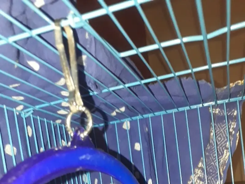 Platinum Pet shop, photo 4