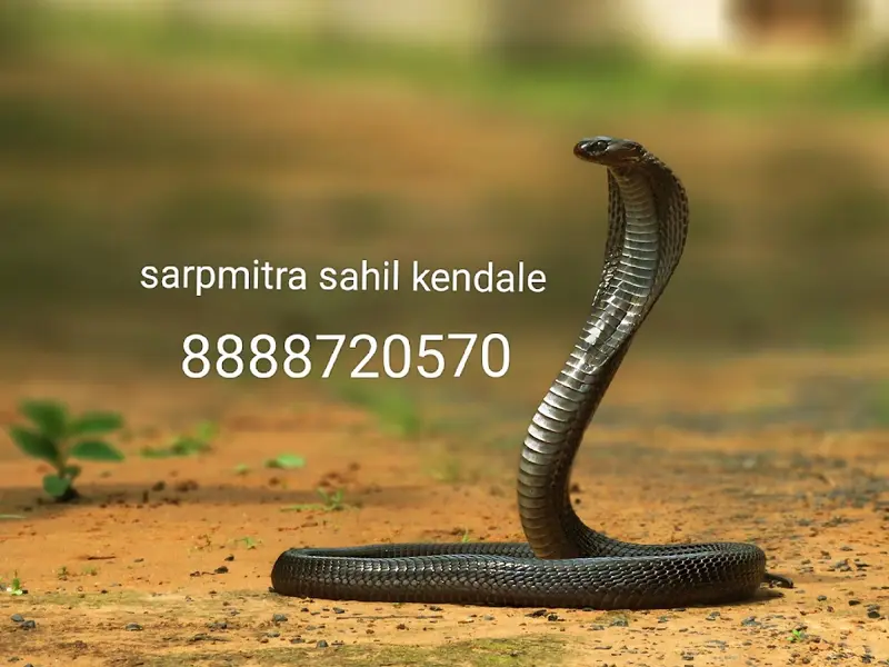 Sarpamitra sahil kendale, photo 5
