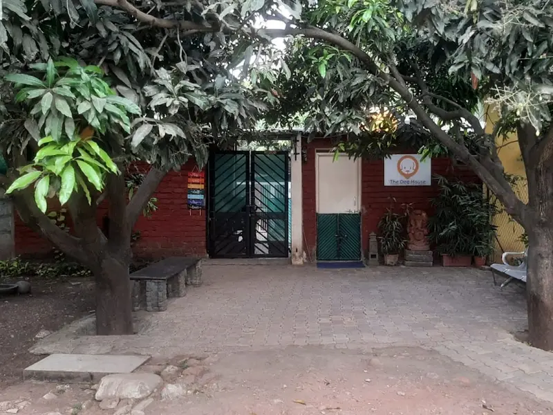 The Dog House (Karve Nagar Branch), photo 2