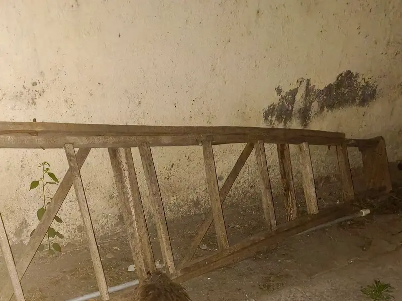 Sarpmitra Aniket Kamble pune, photo 4