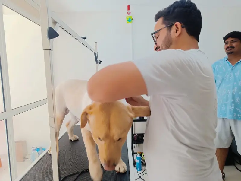 The Urban Paws Pune | Pet Grooming Salon @ Kharadi, photo 5