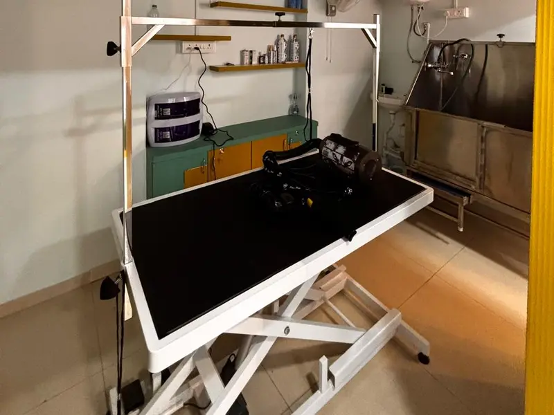 Wags-K-Swag Pet Grooming, photo 3