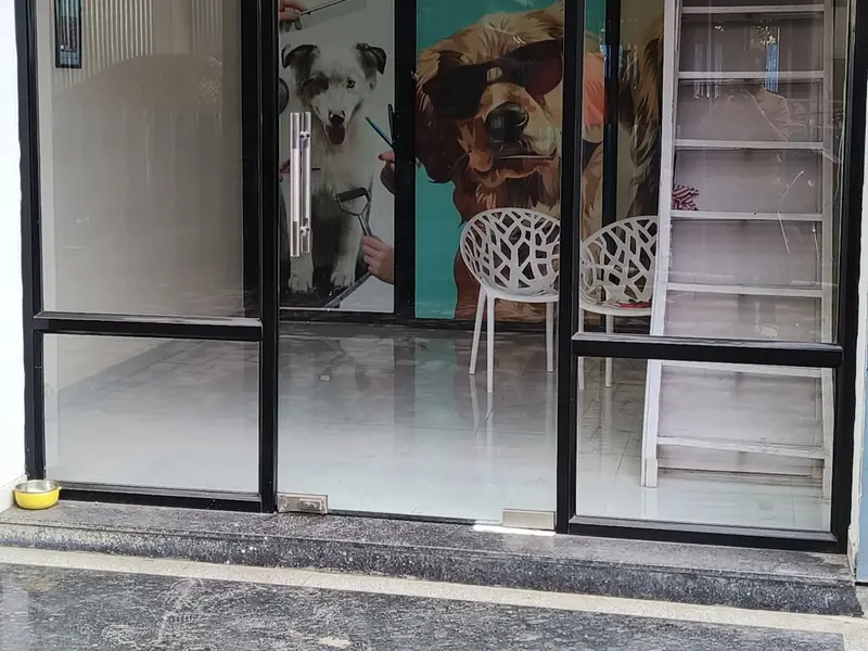 Canine Pet Grooming, photo 3