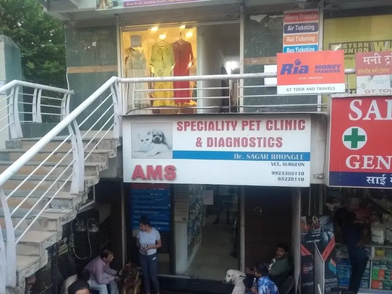 Animal Medical Services, photo 4