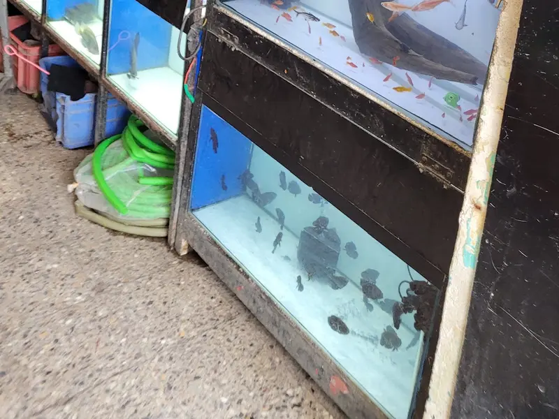 Gaylord Pets, photo 2