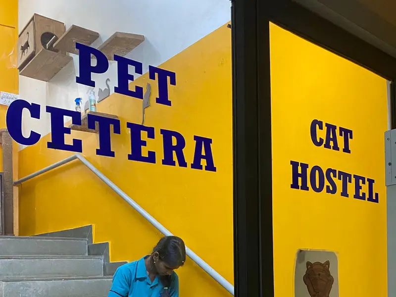 Petcetera Cat Hostel, photo 2