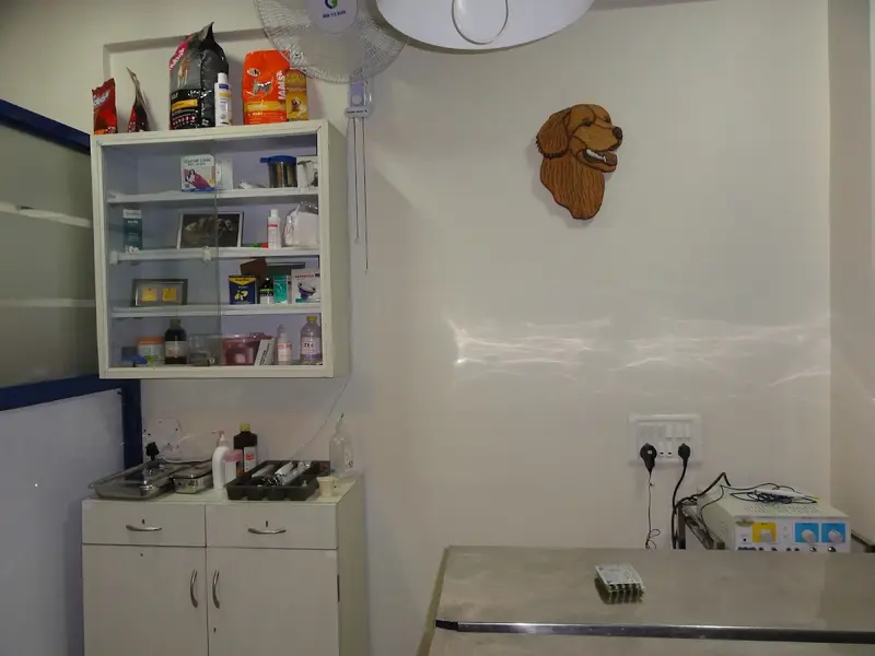 PetCetera Small Animal Clinic, photo 3