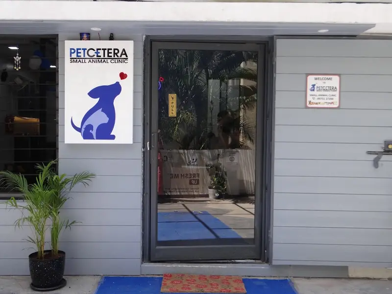 PetCetera Small Animal Clinic, photo 4