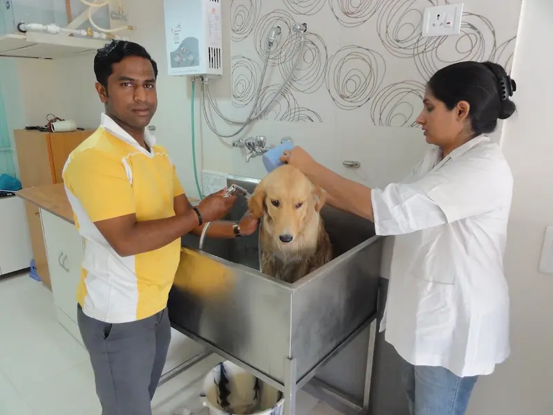 PetCetera Small Animal Clinic, photo 5