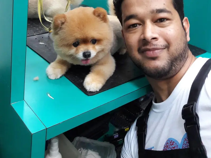 Preety Pets Grooming Salon & Grooming Institute, photo 5