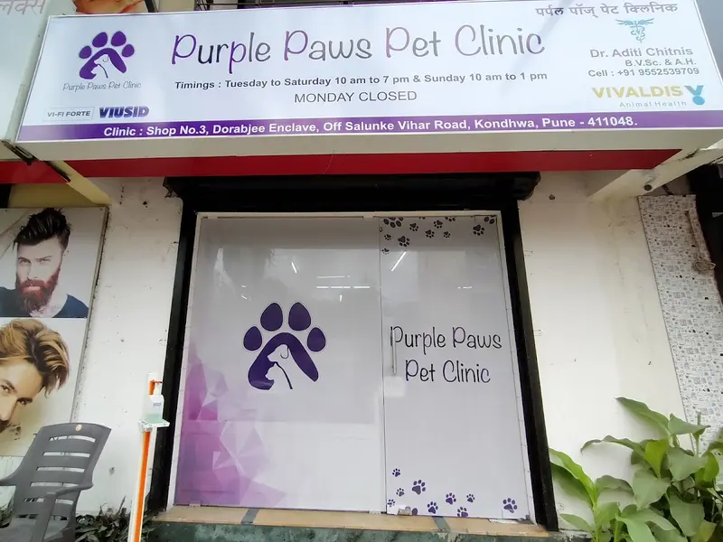 Purple Paws Pet Clinic, Dr. Aditi Chitnis, photo 3